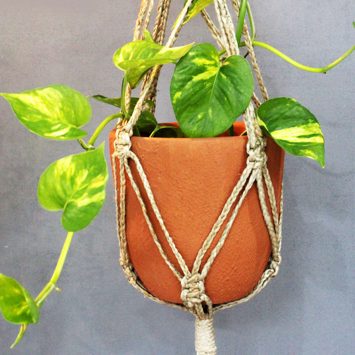 Classic Terracotta Planter with Jute Macrame Hanger Design 3 | Verified Sustainable by Brown Living™