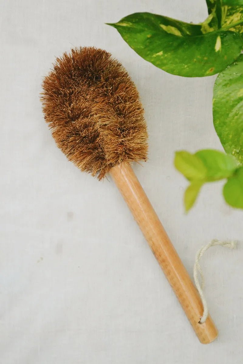 Coconut Fiber – Long Handle Pot Brush – Cleaning Products on Brown Living™. SKU: AS - LPPB - 001. Img 1.