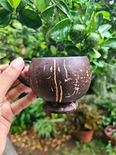 Buy Coconut Teacup - Natural & Handmade 200 ml | Set of 2 | Shop Verified Sustainable Cups & Saucers on Brown Living™