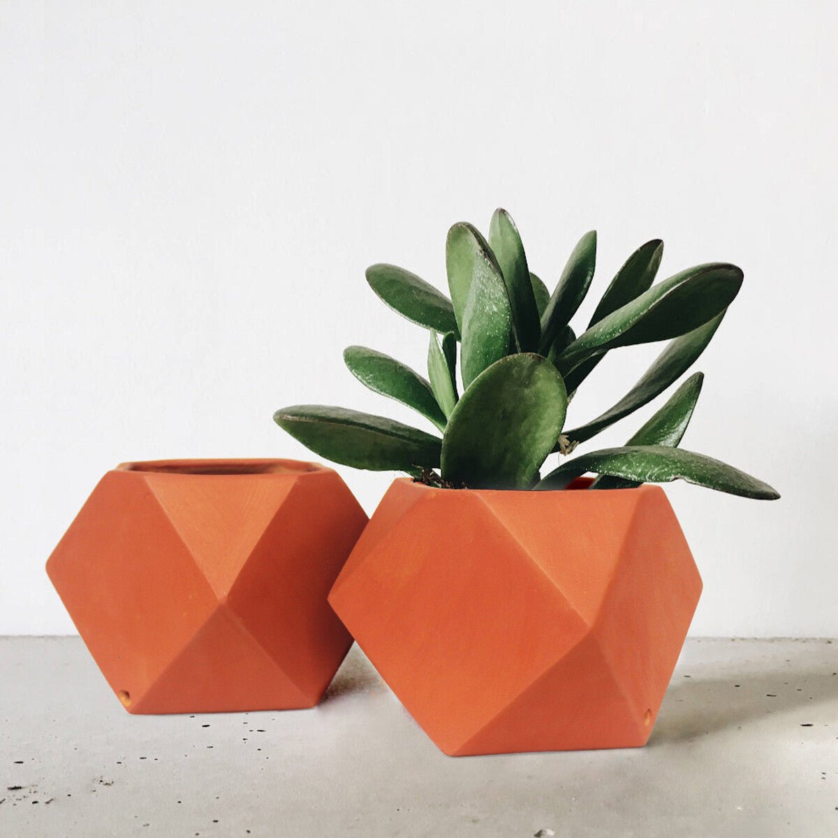 D'MOND - 3 Terracotta Planter - Set of 2 | Home Decor – Pots & Planters on Brown Living™. SKU: PLT - DMD3/2. Img 1.