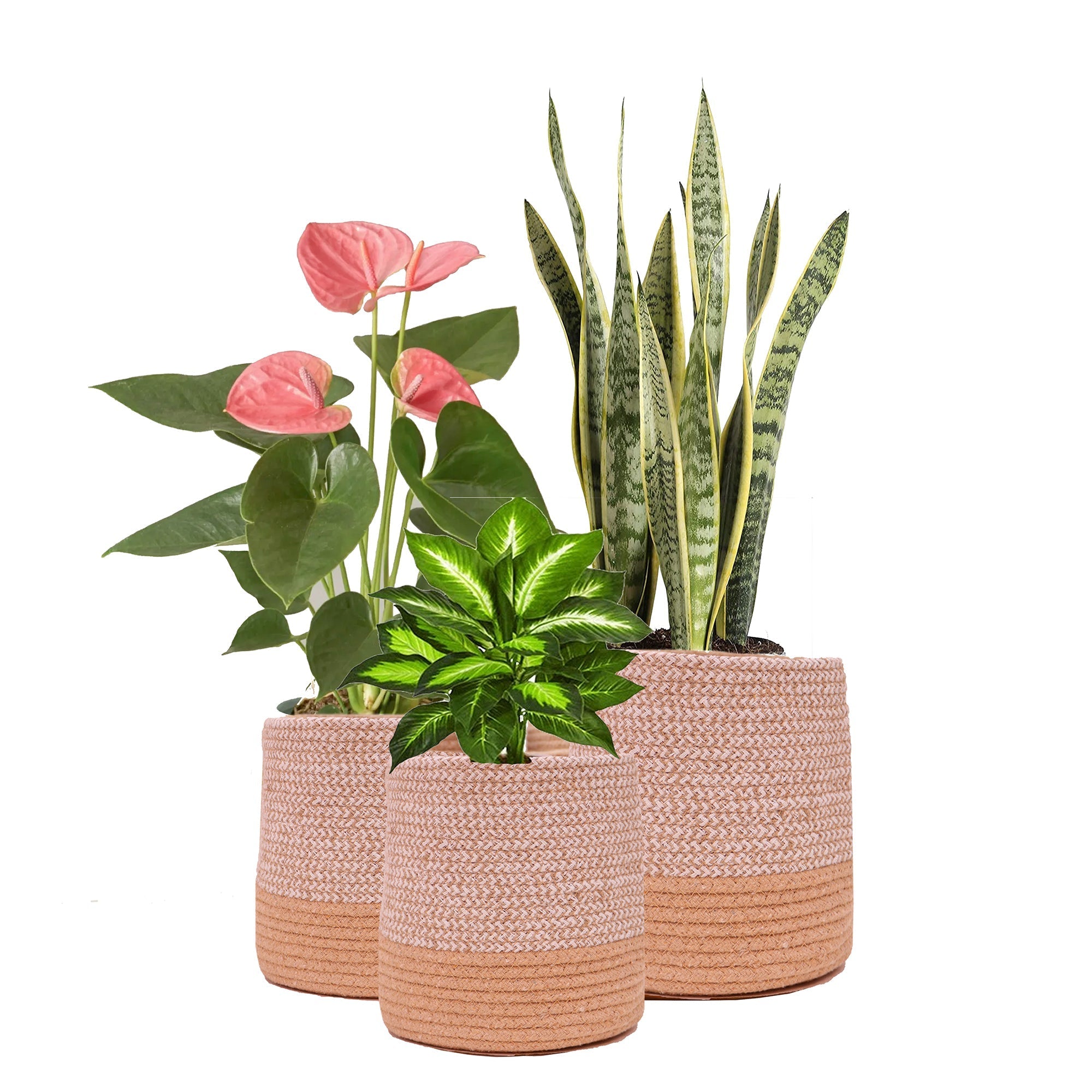 Dual Tone Jute Baskets - Large (One Piece) | Verified Sustainable by Brown Living™
