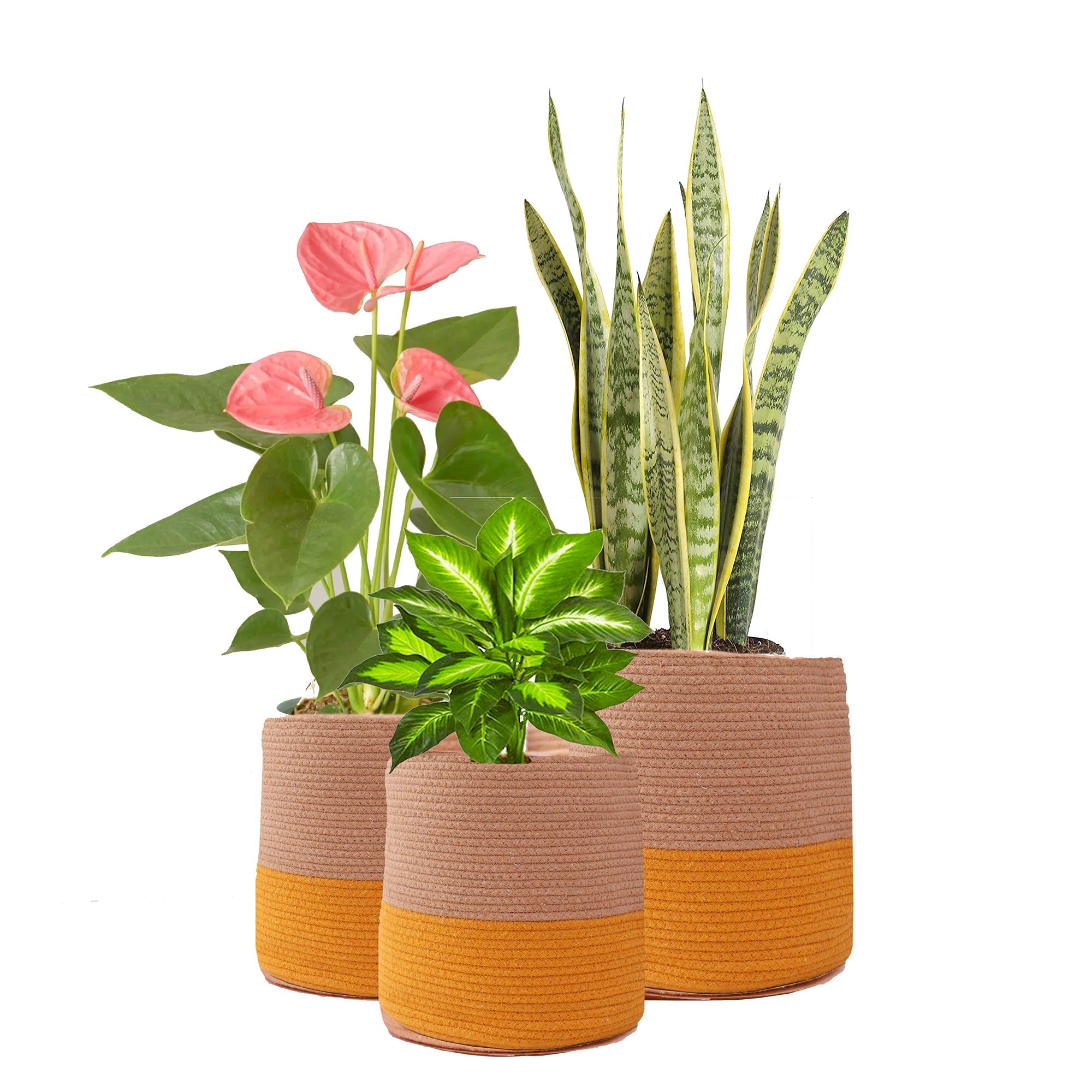 Dual Tone Jute Baskets ( Yellow) Large | Verified Sustainable by Brown Living™