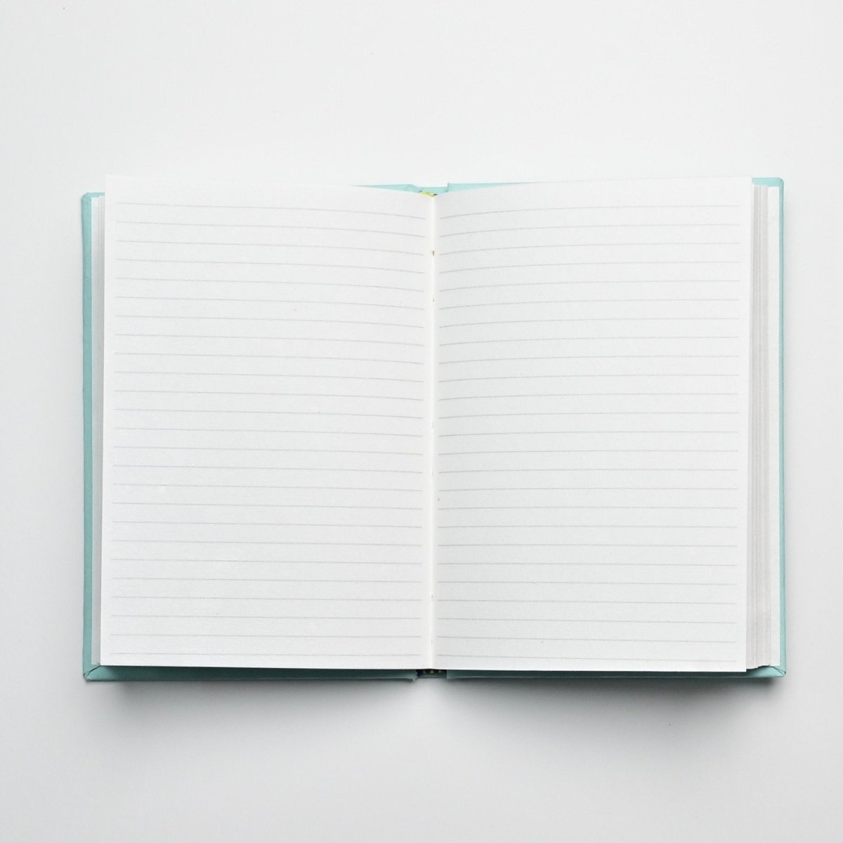 Eco - friendly Tree Free Hardbound Notebook | Light Blue | Verified Sustainable by Brown Living™
