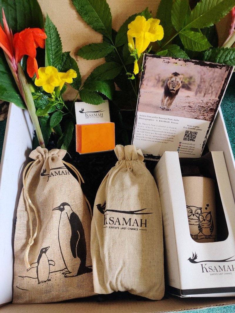 Ecological Startup Box – Gift Giving on Brown Living™. SKU: 147-04306-KSH31. Img 1.