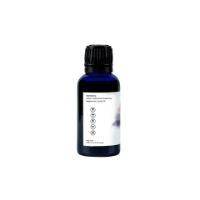 Focus Blend Essential Oil - 30ml | Verified Sustainable by Brown Living™