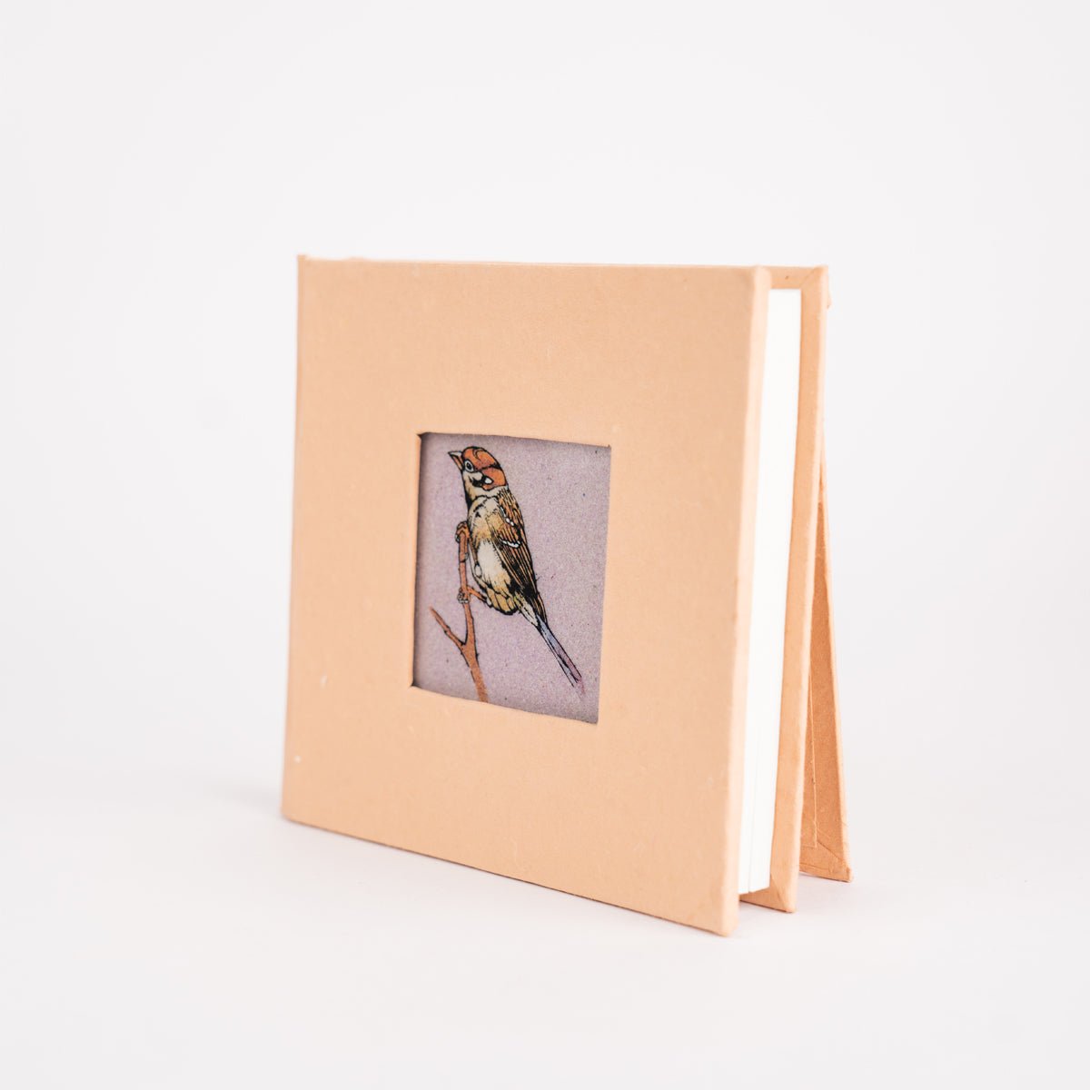 Gemstone Diaries For Daily Journaling | Verified Sustainable by Brown Living™