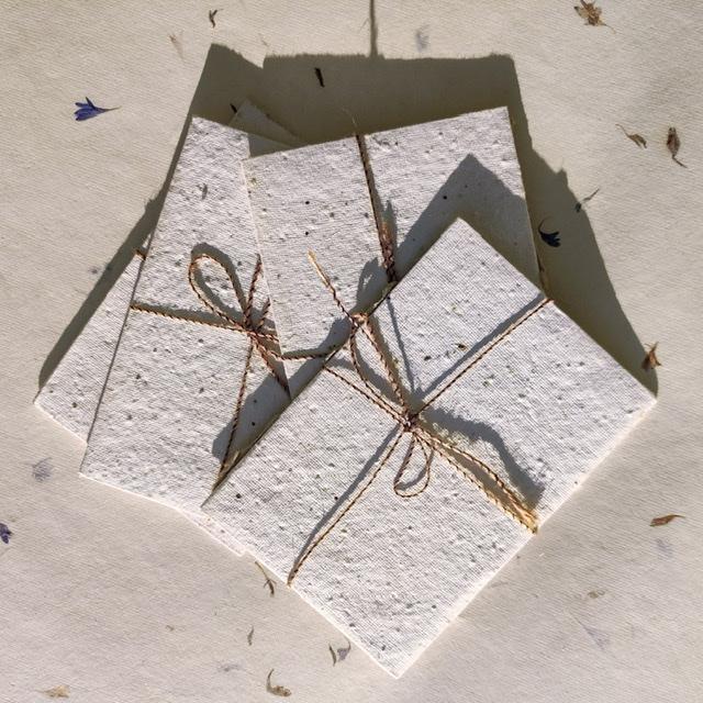 Handmade Paper Envelope and Card - Set of 5 | Verified Sustainable by Brown Living™