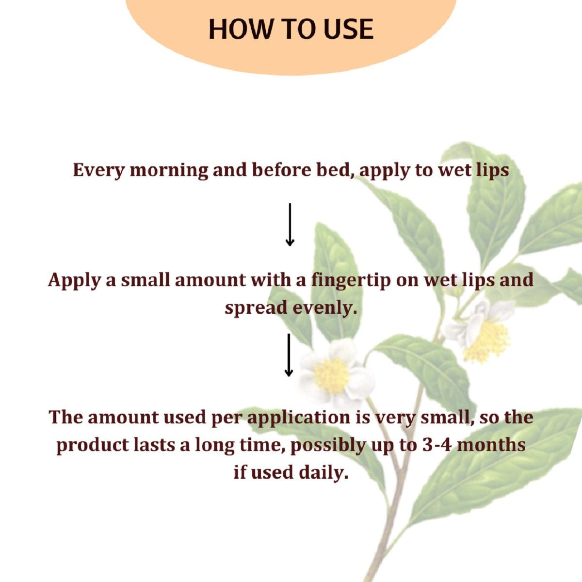 Lip Balm With Mango Butter | Verified Sustainable by Brown Living™