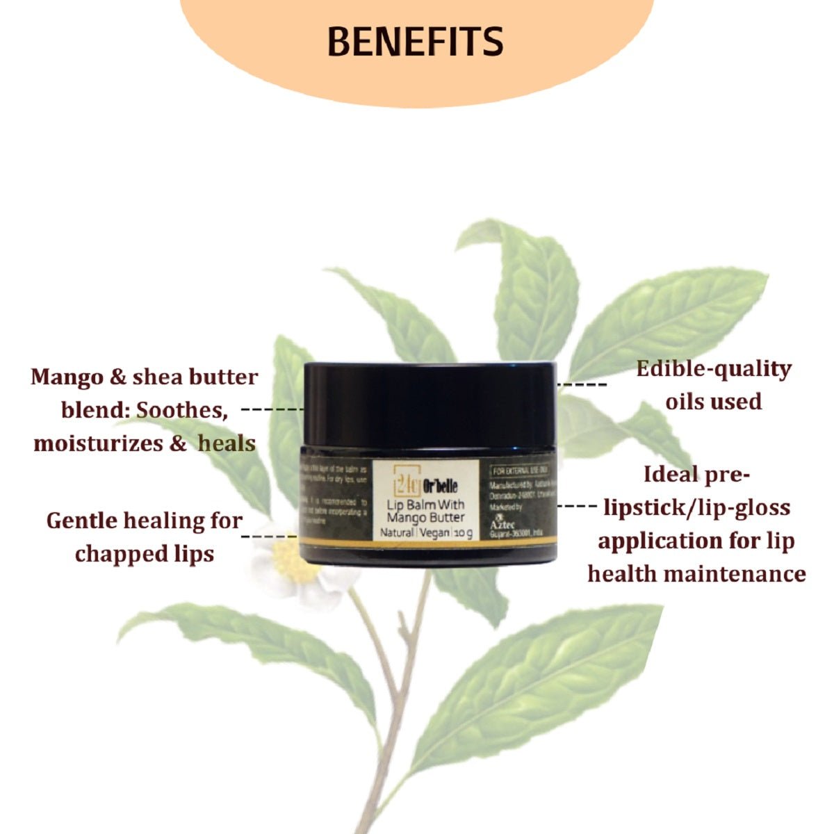 Lip Balm With Mango Butter – Lip Balms on Brown Living™. SKU: PERE18. Img 4.