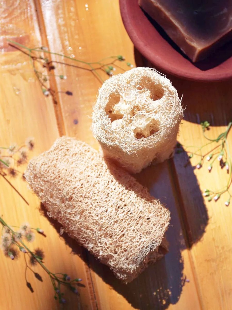 Loofah Sponge – Natural Bathing Scrub (Pack of 3) – Body Scrub on Brown Living™. SKU: AS - LBS - 003. Img 2.