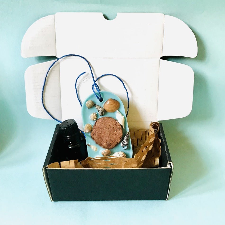 Ocean Breeze fragrance Reusable Wardrobe Freshener - Seashells (small) infused | Verified Sustainable by Brown Living™