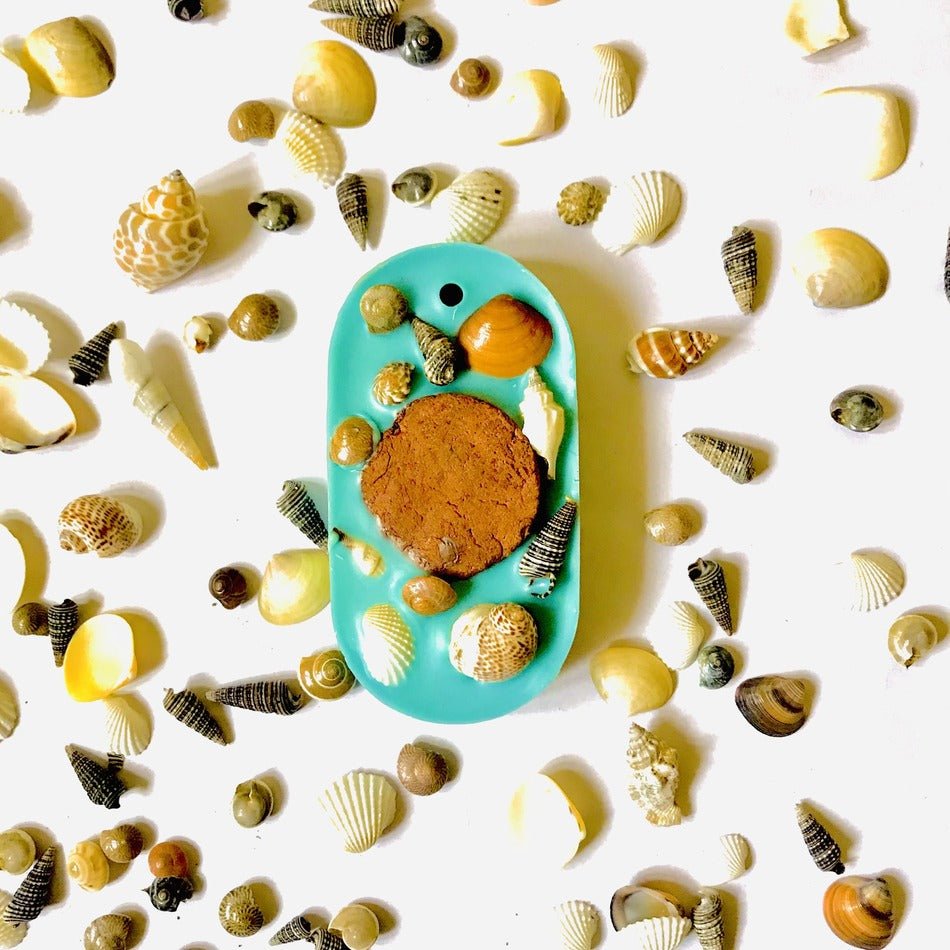 Ocean Breeze fragrance Reusable Wardrobe Freshener - Seashells (small) infused | Verified Sustainable by Brown Living™
