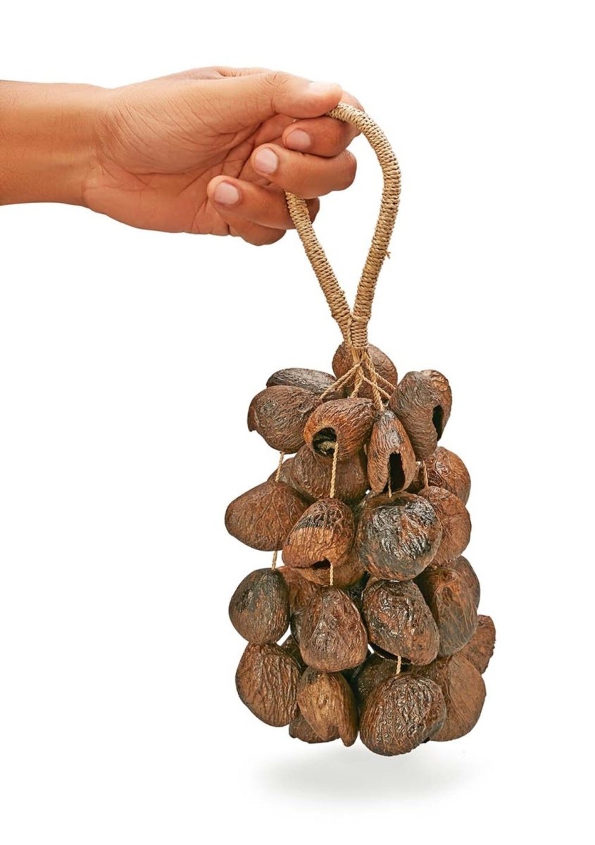 Pangi Seed Shaker – Musical Instruments by Sarveda available on Brown Living™. . SKU: MI - PS. Img 3.
