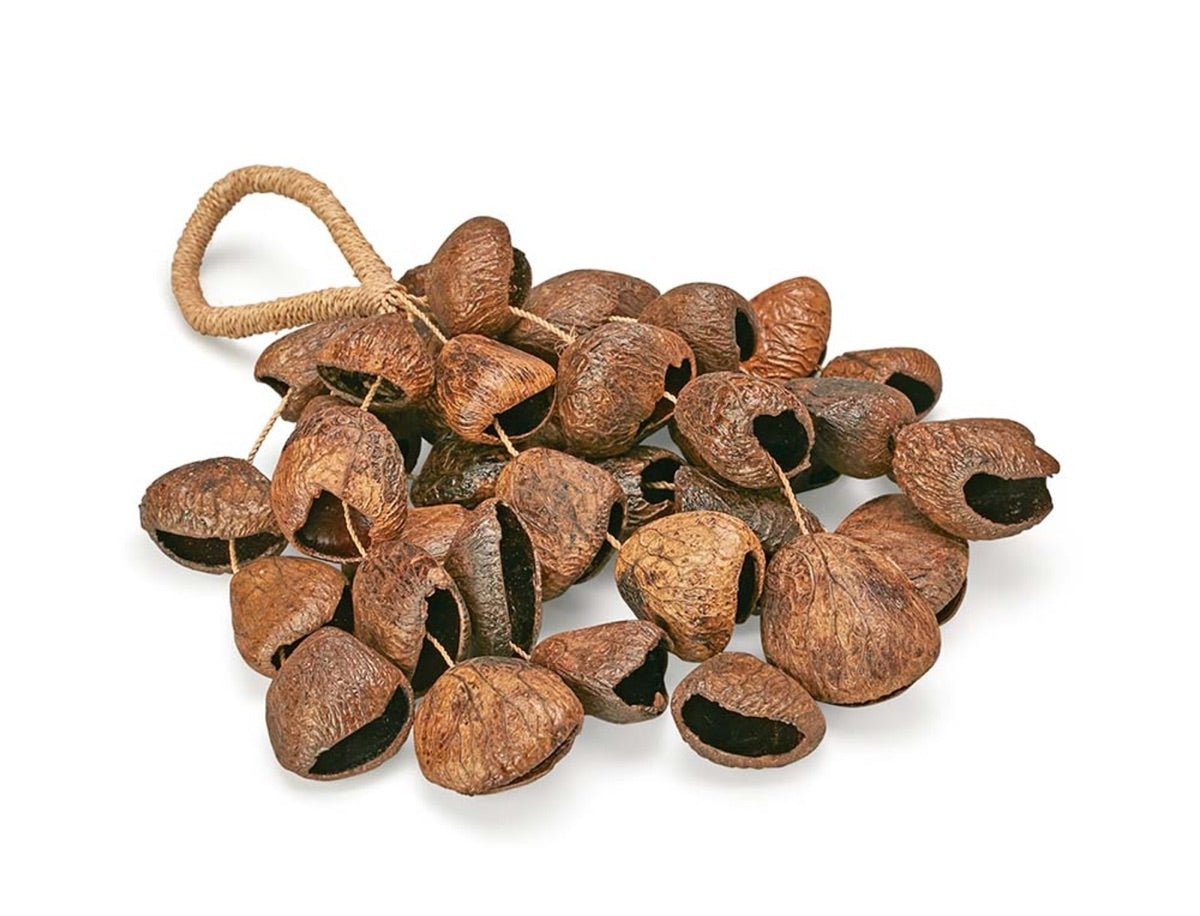 Pangi Seed Shaker – Musical Instruments by Sarveda available on Brown Living™. . SKU: MI - PS. Img 5.