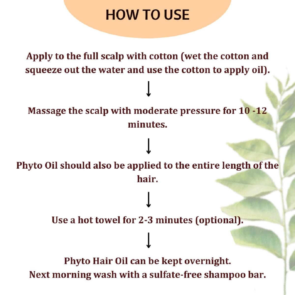 Phyto Hair Oil - Hair Fall Control – Hair Oil on Brown Living™. SKU: HAIE14. Img 5.