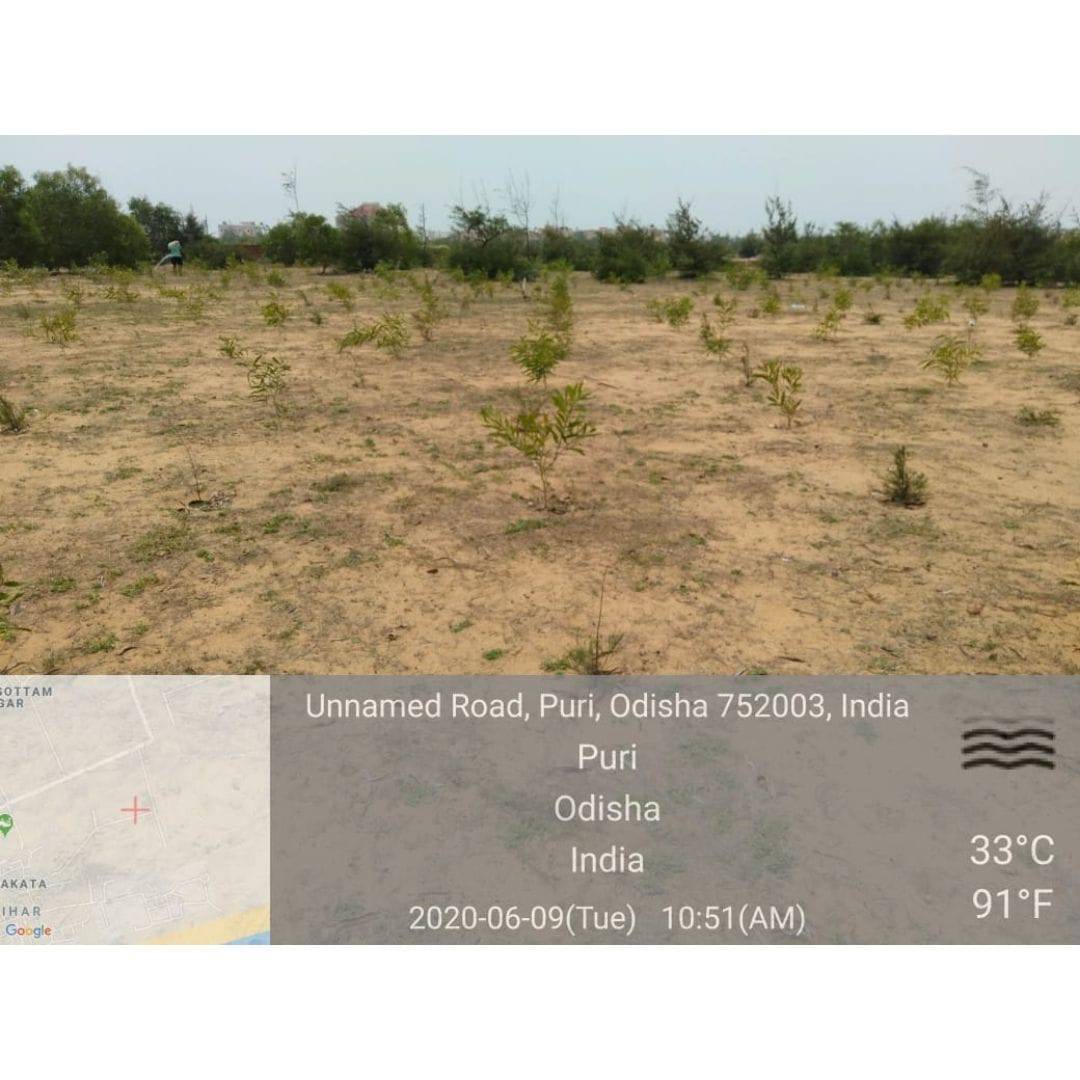 Plant A Tree - Get an eTreeCertificate – Gift a Tree on Brown Living™. SKU: 045 - 01093 - growtrees_etree. Img 10.