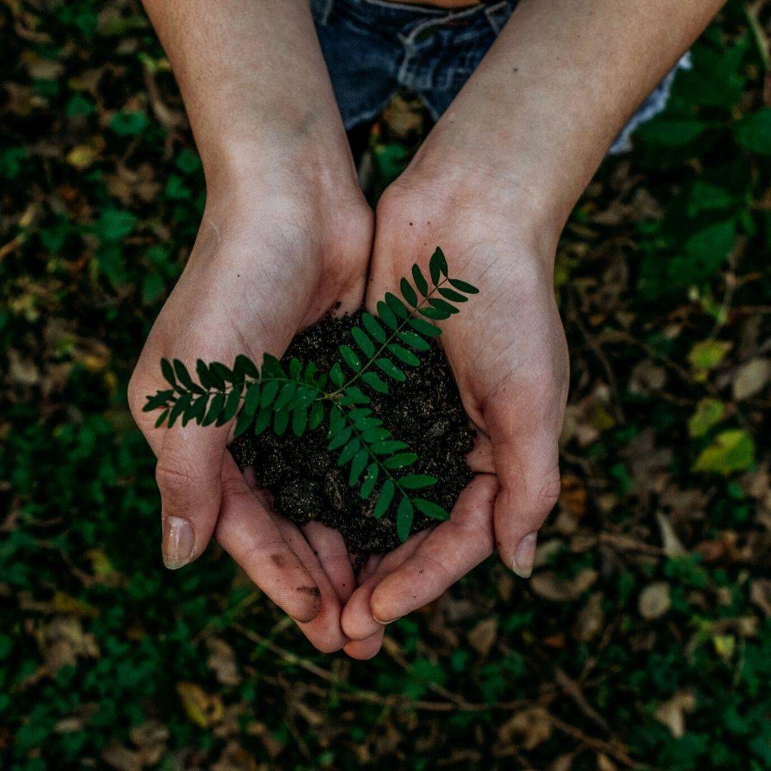 Plant A Tree - Get an eTreeCertificate – Gift a Tree on Brown Living™. SKU: 045 - 01093 - growtrees_etree. Img 1.