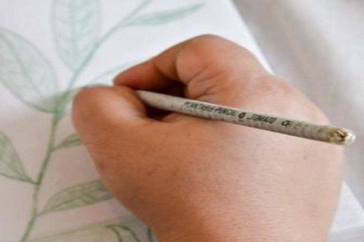 Plantable Seed Stationery - Pack of 10 – Pencils on Brown Living™. SKU: OEP239. Img 2.