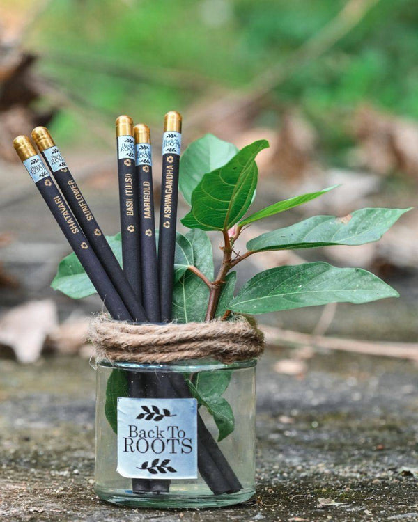 Buy Plantable Seed Pencil | Combo | Pack of 10 | Shop Verified Sustainable Pencils on Brown Living™