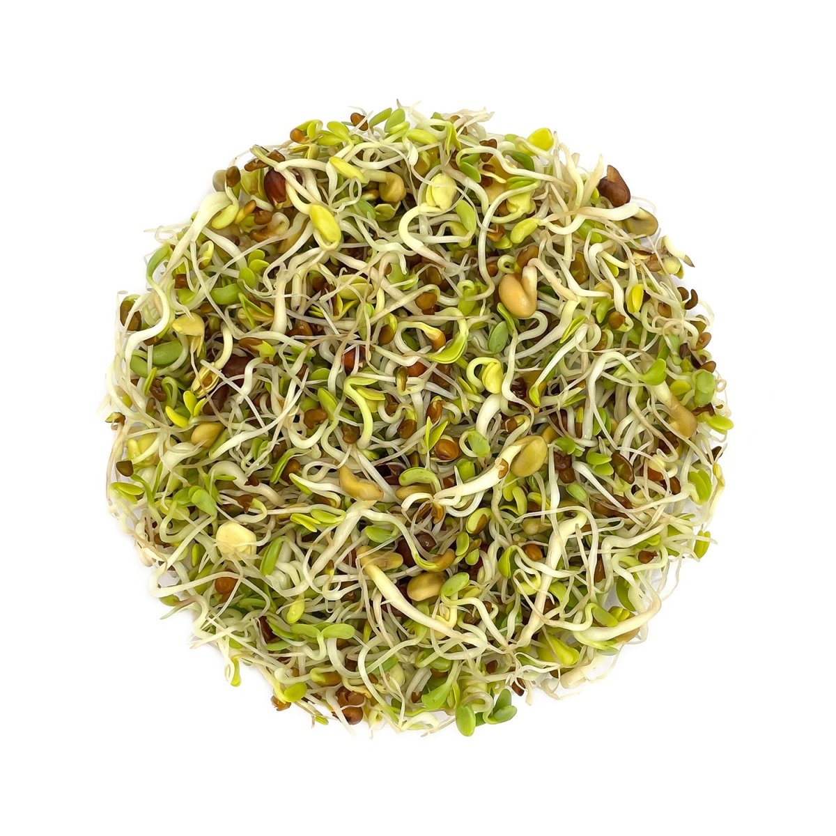 Satopradhan Mix Seeds for Sprouting - 200g – Dried Fruits, Nuts & Seeds on Brown Living™. SKU: 3DS - SSM2H. Img 3.