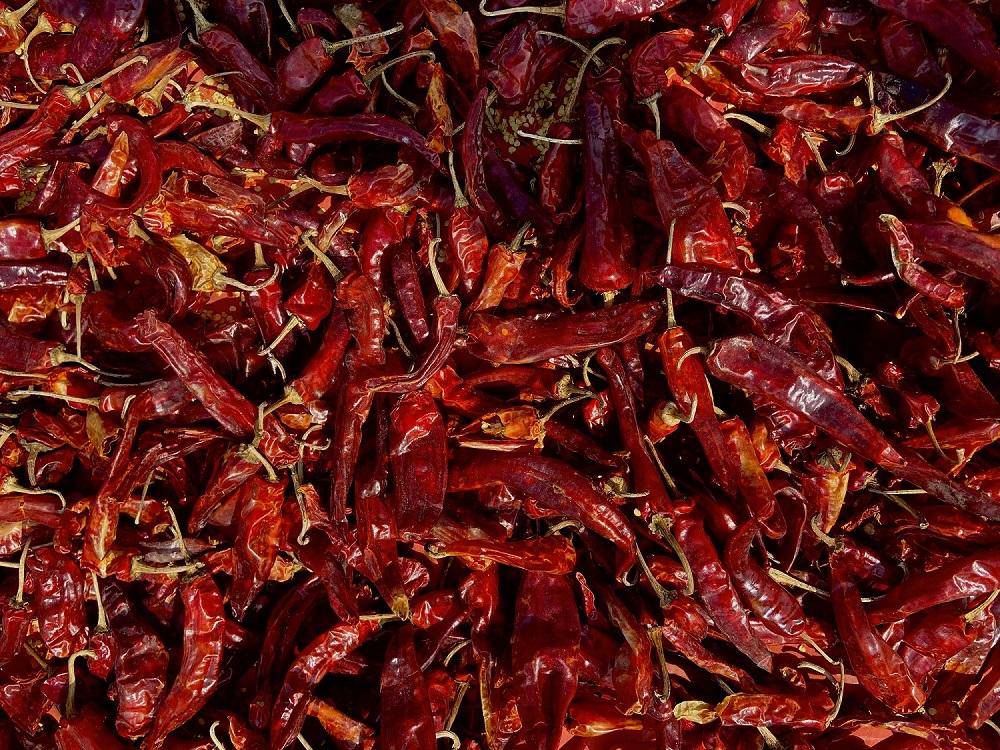 Single Origin Kashmiri Chilli Powder ( Pack of 2) – Seasonings & Spices by Be Unfiltered available on Brown Living™. . SKU: 292 - 15856 - SKUBUKC02. Img 3.