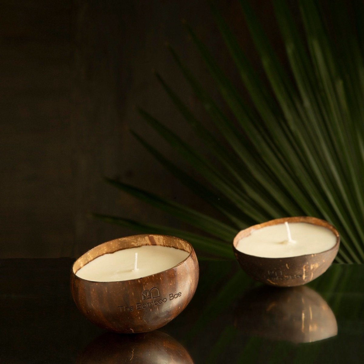 Soy Wax Candle in Coconut Shell - Handcrafted and Smoke Free – Candles & Fragrances on Brown Living™. SKU: TBB - 78. Img 2.