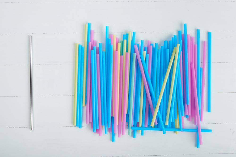 Steel Straws | Reusable Straws 2 Bent + 2 Straight + 1 Cleaner + 1 Pouch | Eco friendly Straws – Drinking Straws & Stirrers on Brown Living™. SKU: TBB - 66. Img 5.