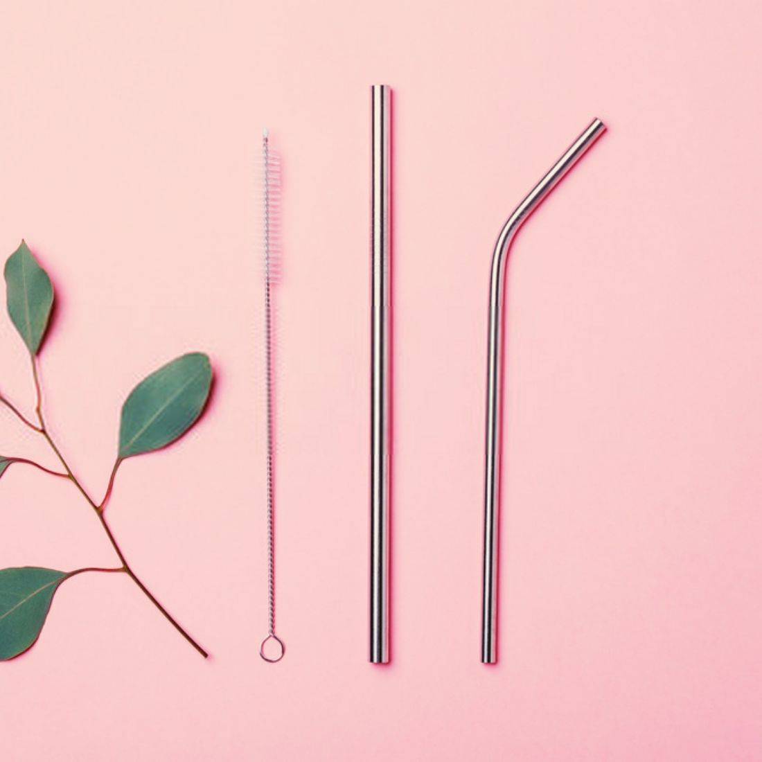 Steel Straws | Reusable Straws 2 Bent + 2 Straight + 1 Cleaner + 1 Pouch | Eco friendly Straws – Drinking Straws & Stirrers on Brown Living™. SKU: TBB - 66. Img 3.