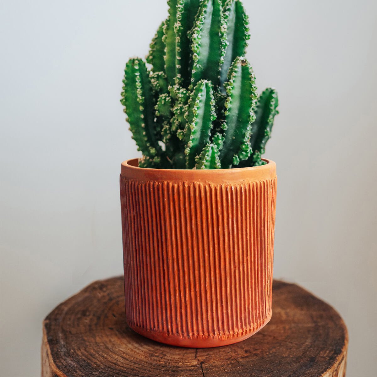 Terracotta Cylindrical Pillow Planter - Set of 2 – Pots & Planters on Brown Living™. SKU: PLT - PLW/2. Img 1.