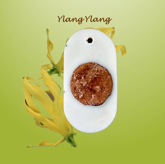 Title: Reusable Soy Wax Air Freshener - Ylang Ylang Oil - Pack of 1 | Verified Sustainable by Brown Living™