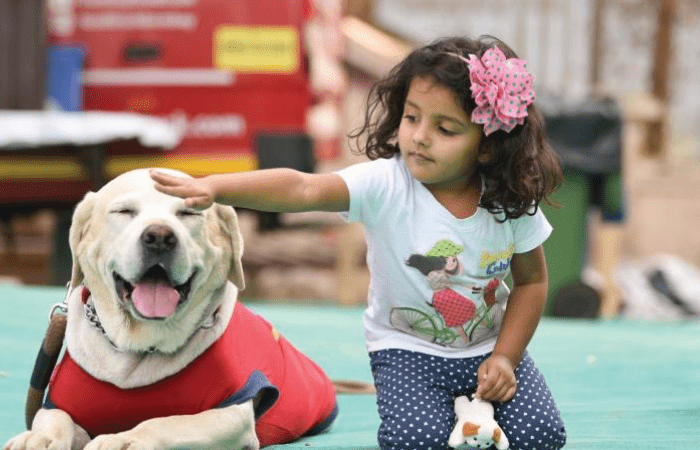 Eco-Friendly Ways to Celebrate Love Your Pet Day - Brown Living™