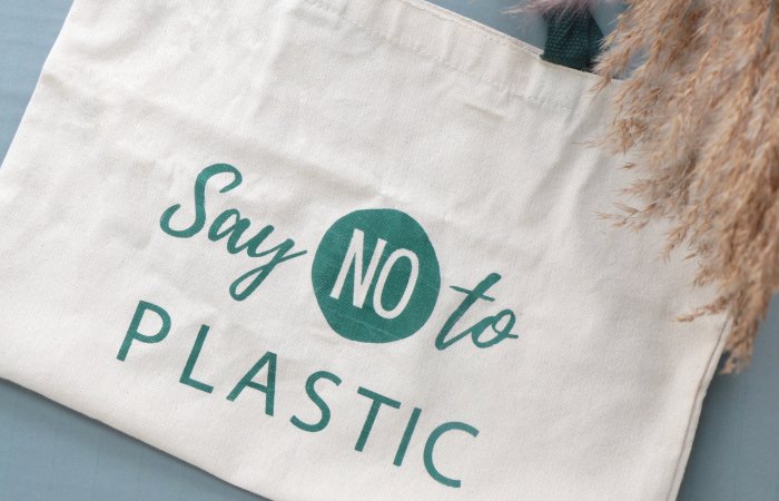 From Single-Use to Reusable: Transitioning to Sustainable Tote Bags in Your Daily Life - Brown Living