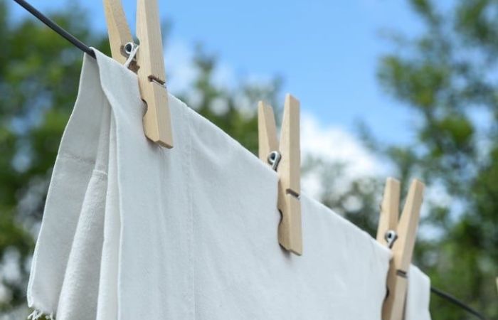 Taking Care of Your Sustainable Women’s T-Shirts: Cleaning and Maintenance Tips - Brown Living™