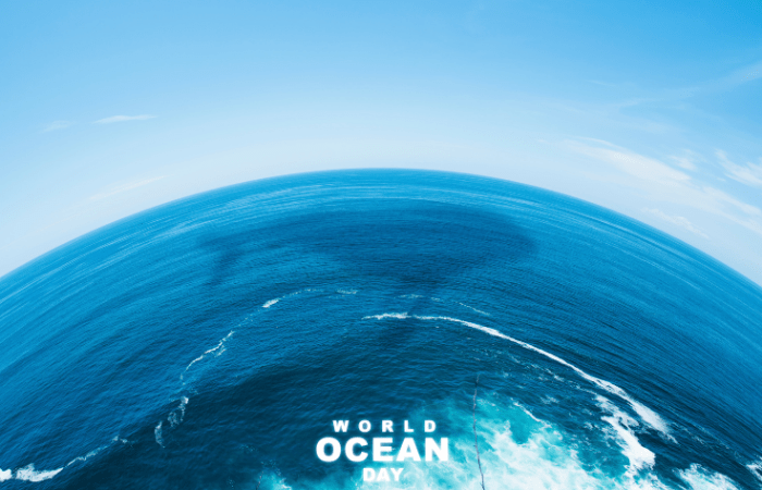 The Importance of Protecting Our Oceans: A Comprehensive Overview - Brown Living™
