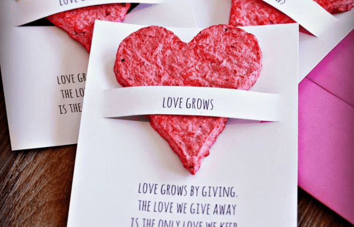 The Ultimate Guide to Zero-Waste Valentine's Day Gifts - Brown Living™