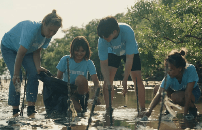 World Oceans Day: How Communities Around the Globe Are Making a Difference - Brown Living™