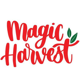 Magic Harvest X Brown Living