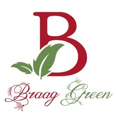 Shop Braag Green on Brown Living