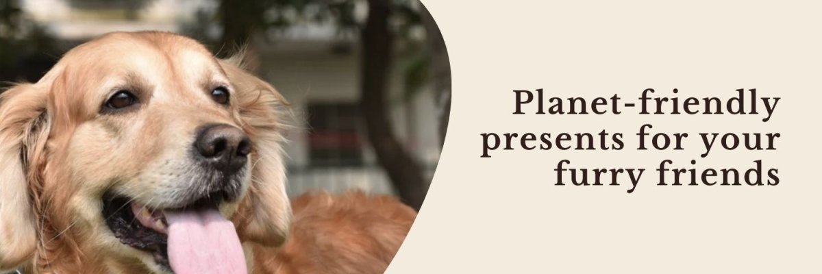 Sustainable Pet Care - Brown Living™