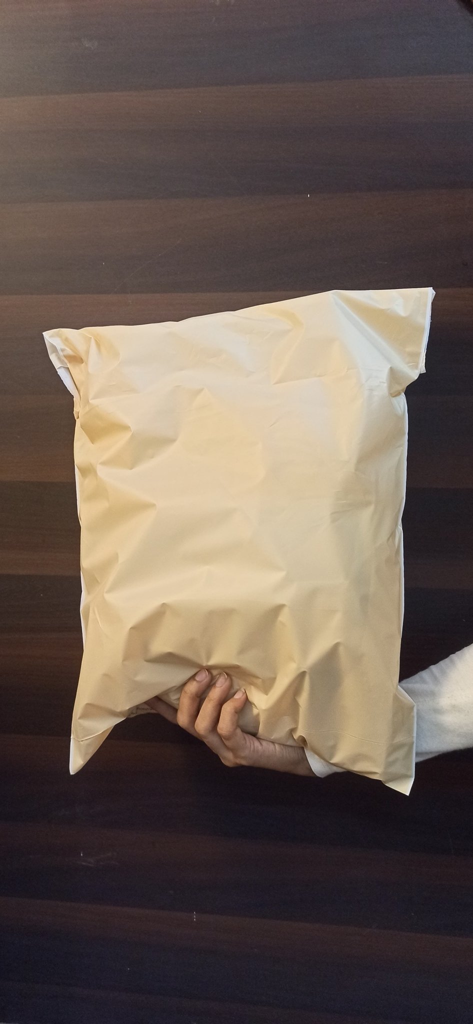 100% Compostable Ecofriendly Plain Beige Bags Pack Of 25 – Packing Materials on Brown Living™. SKU: MO - 11. Img 1.