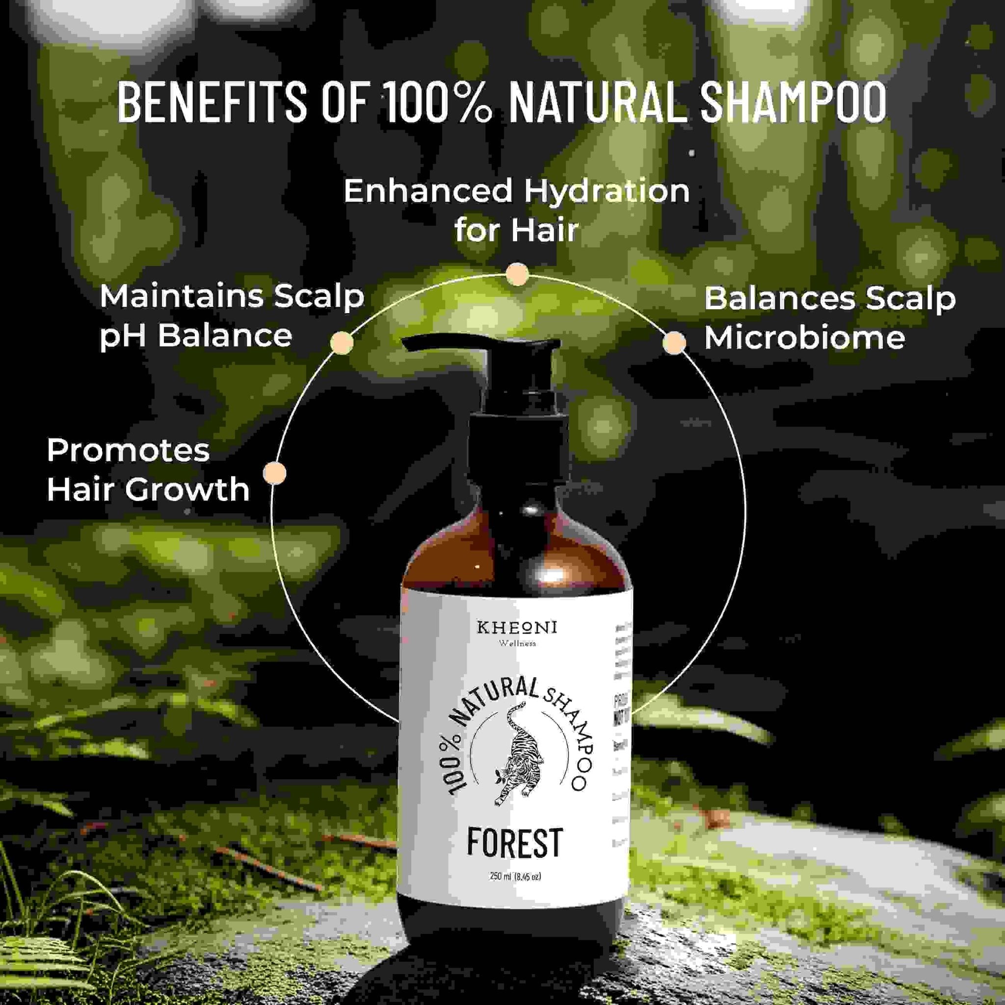 100% Natural Shampoo – Forest | Herbal Anti - Hairfall Shampoo – Hair Shampoo on Brown Living™. SKU: FFNS0250L. Img 2.