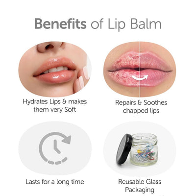 100% Vegan Lip Balm Shea & Mango Butter - 15g – Lip Balms on Brown Living™. SKU: 3BC_LBMS - 15G. Img 2.