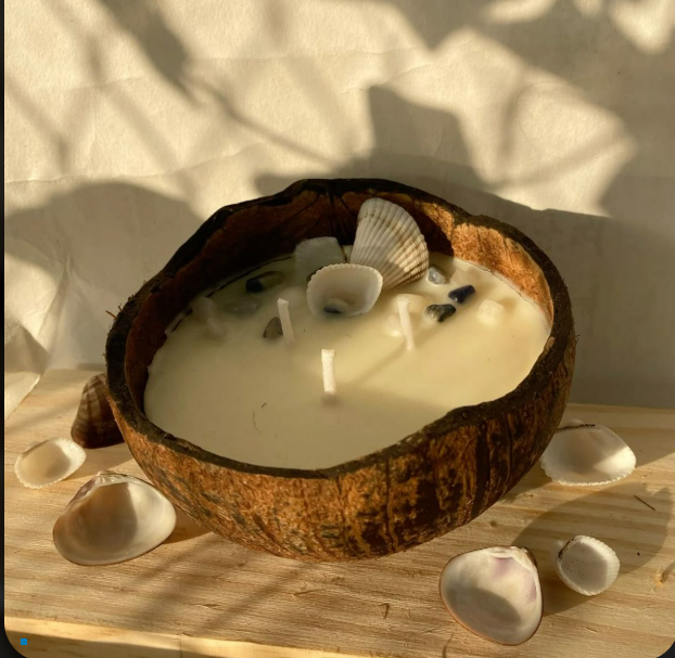 Coconut shell candle