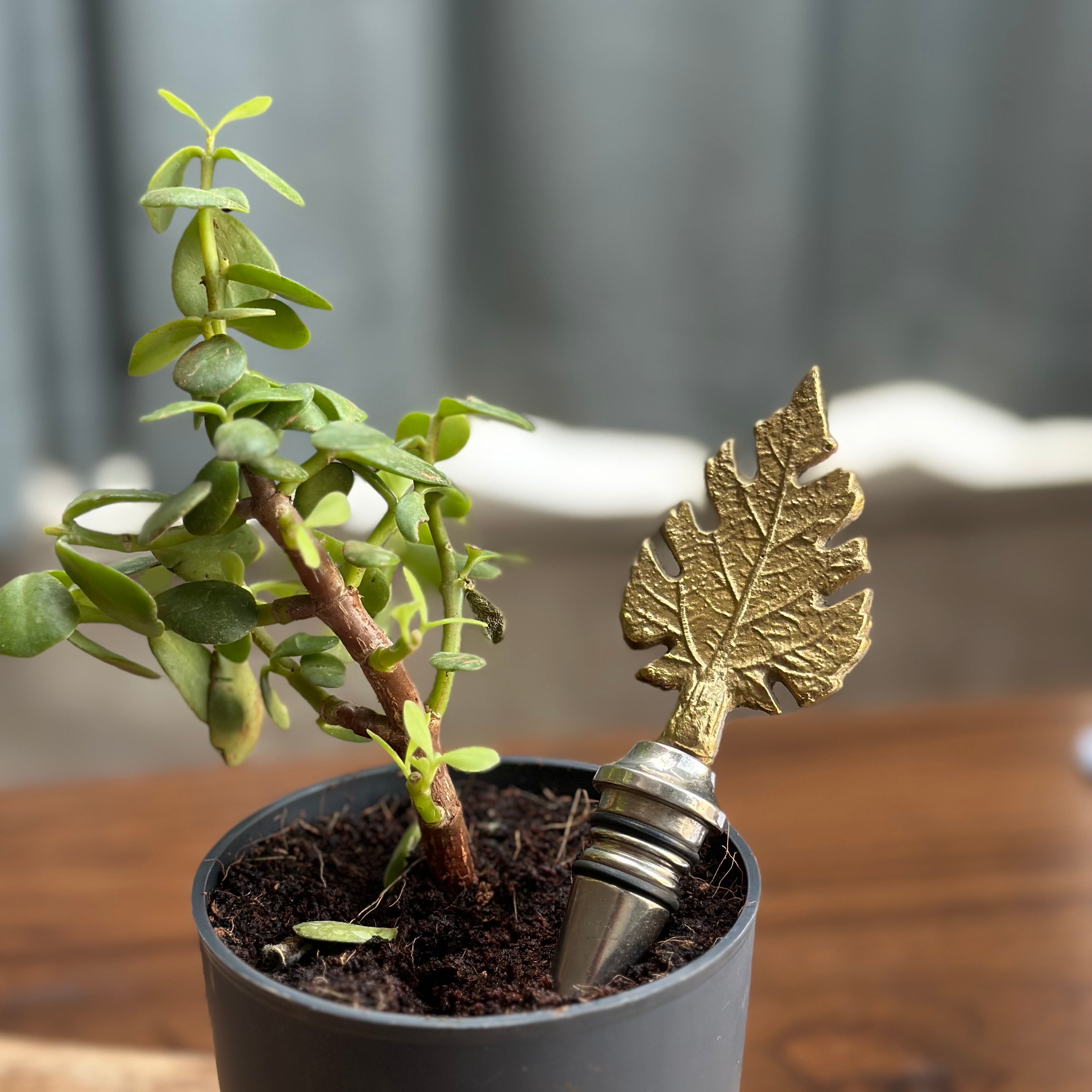 Solid Brass Bottle Stopper | Elegant Barware & Gifting