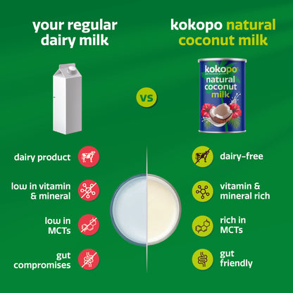 Natural Coconut Milk | Pack of 2 | Dairy-Free Delight