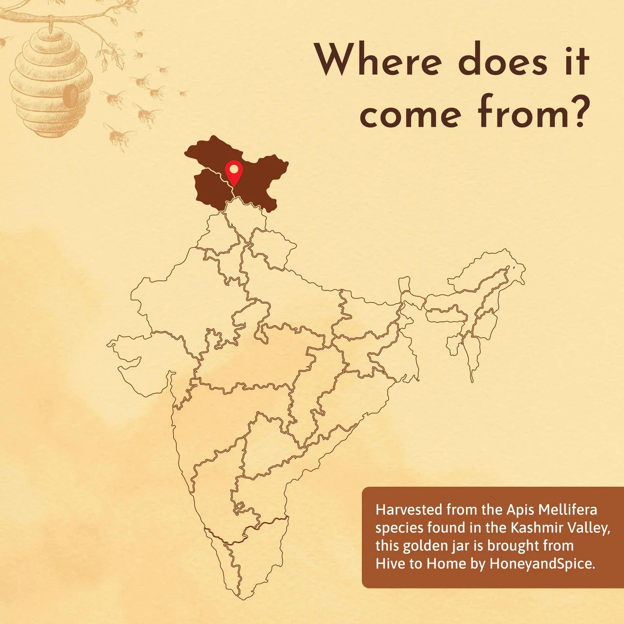 Natural Himalayan Honey