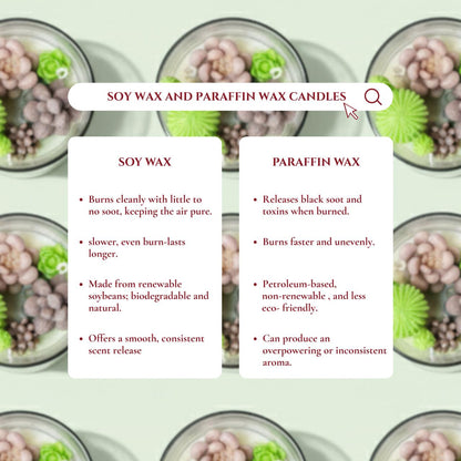 Succulent Scented Candle- Fresh Green Fragrance Home Decor