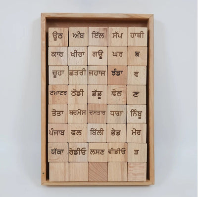 5 - in - 1 Punjabi Learning Blocks – Educational Toy for Kids – Learning & Educational Toys on Brown Living™. SKU: Pnj - alp. Img 6.