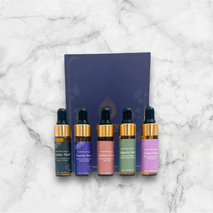 Diffuser Oil Discovery Set