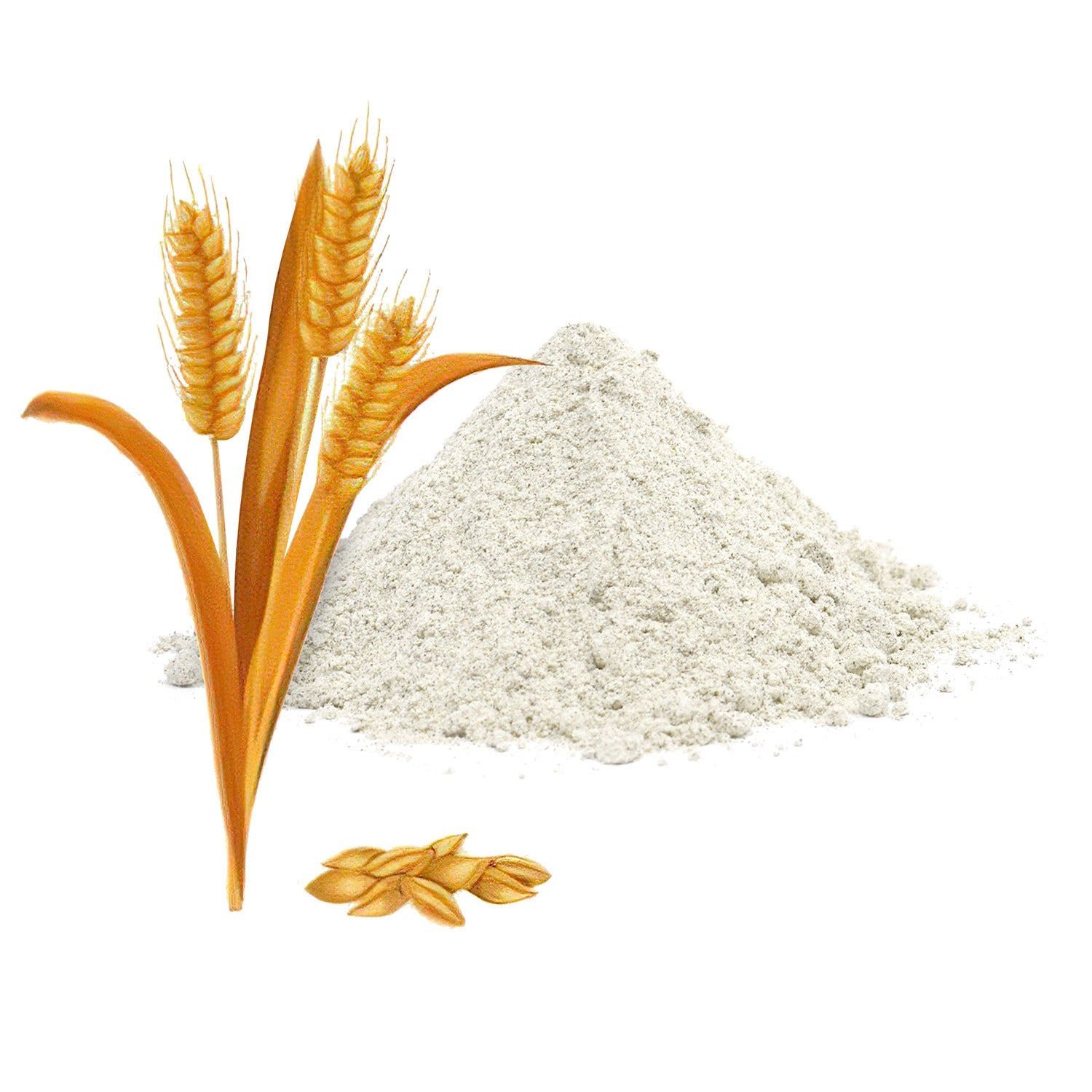 Barley Flour 800g - Organic, Low-Gluten, High-Fiber Flour